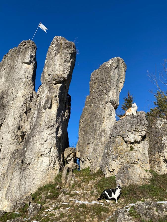 Gasthof Zur Sagemuhle Apartamento Hiltpoltstein Exterior foto